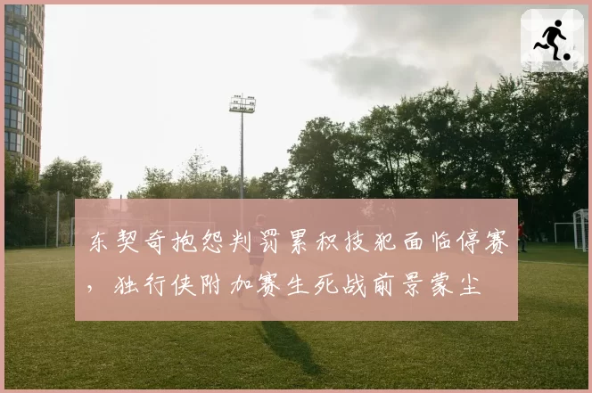 东契奇抱怨判罚累积技犯面临停赛，独行侠附加赛生死战前景蒙尘